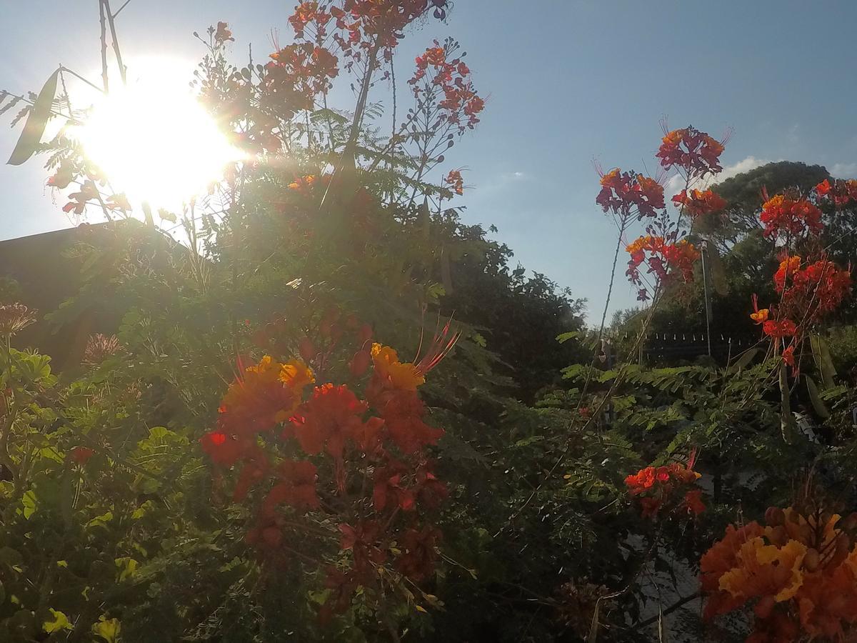 아코 Asbn Magic Garden 빌라 외부 사진